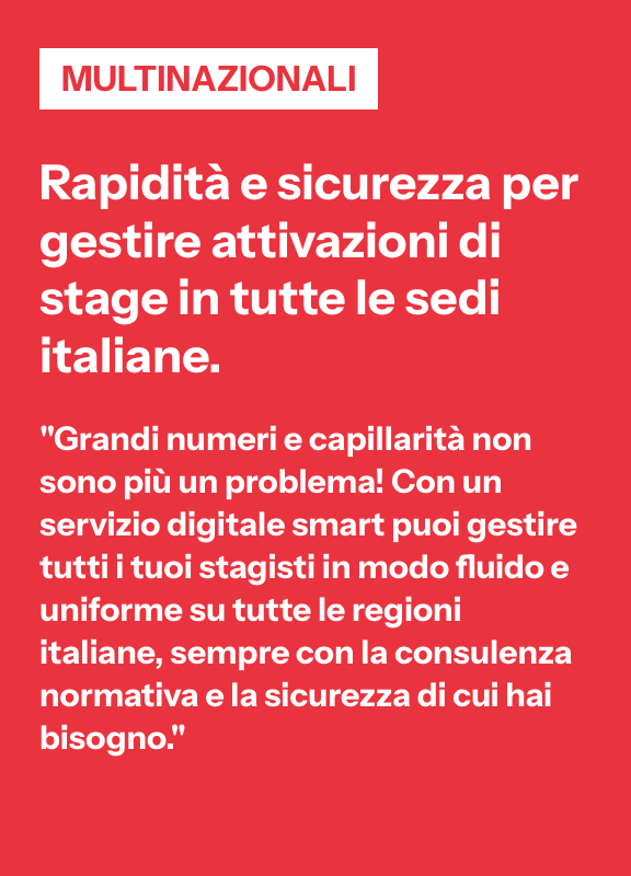 Descrizione multinazionali