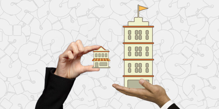 differenze tra piccola e grande azienda