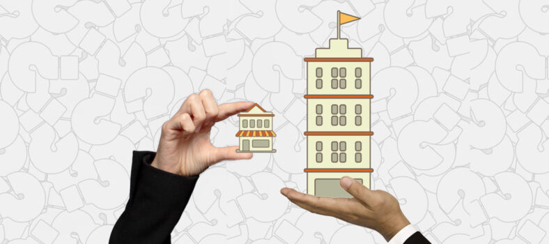 differenze tra piccola e grande azienda